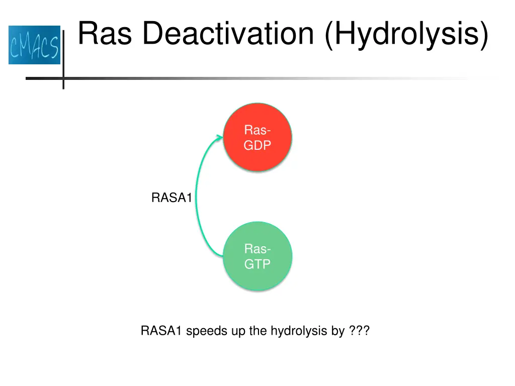 ras deactivation hydrolysis 1