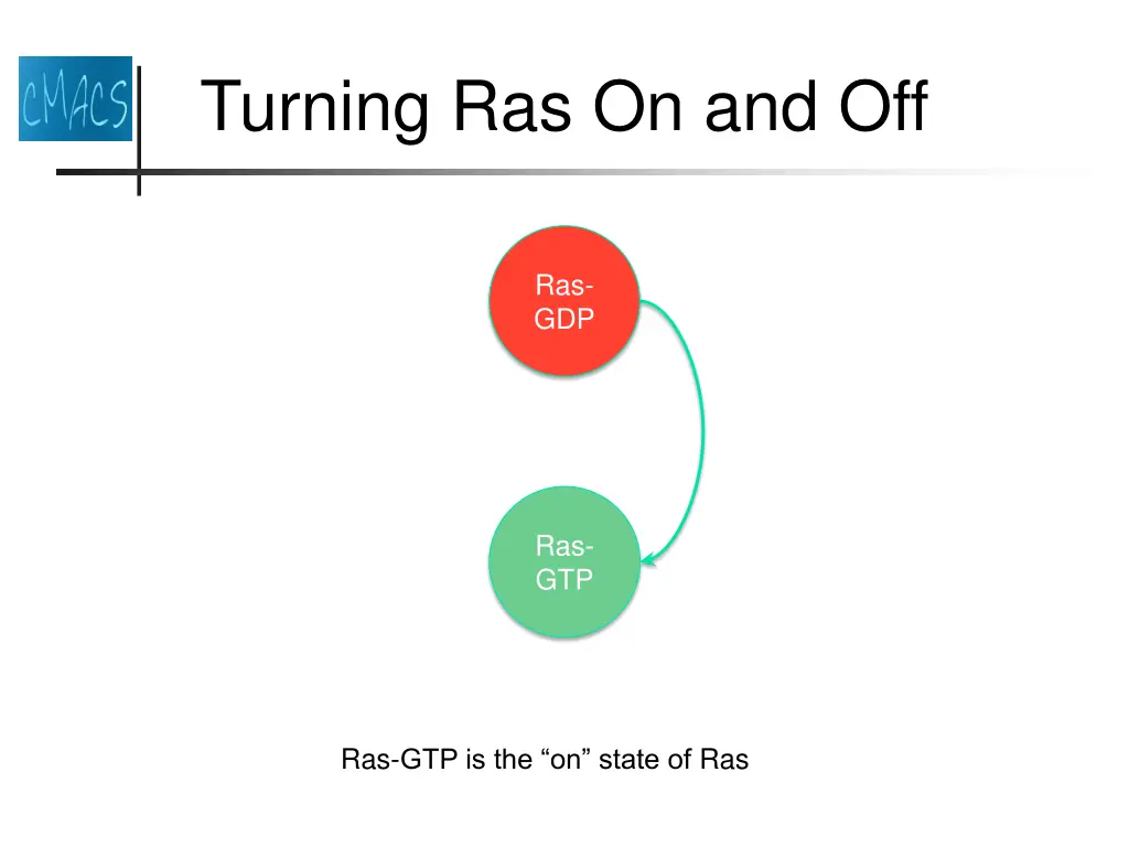 turning ras on and off 2