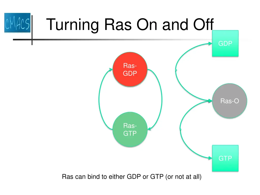 turning ras on and off 4