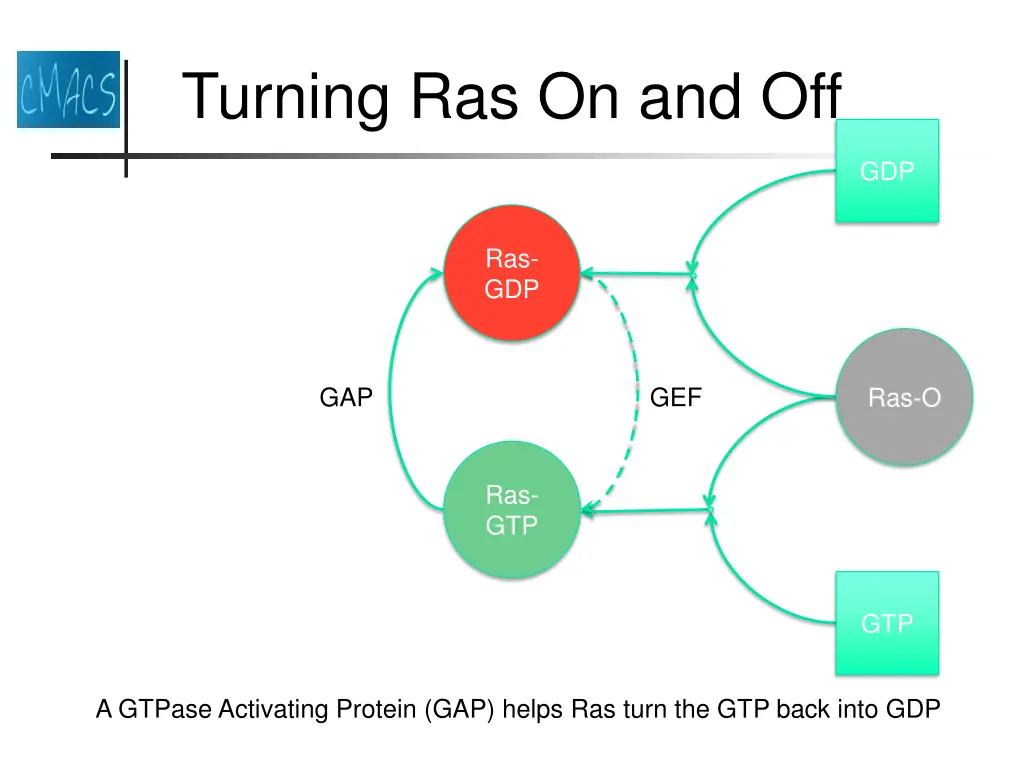 turning ras on and off 5