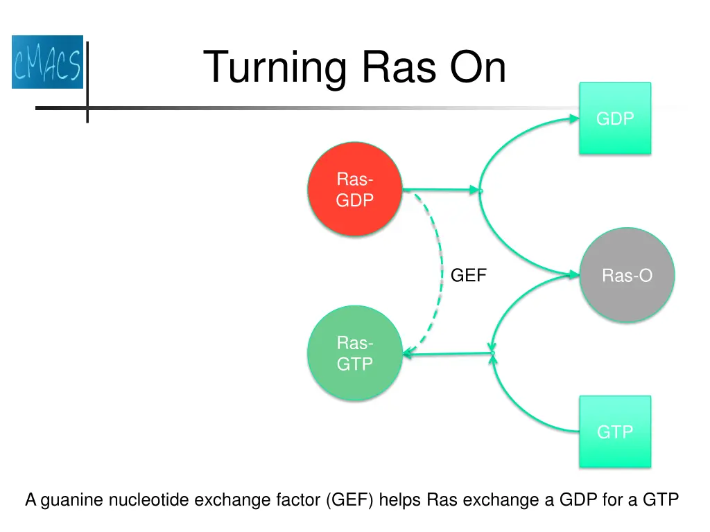 turning ras on
