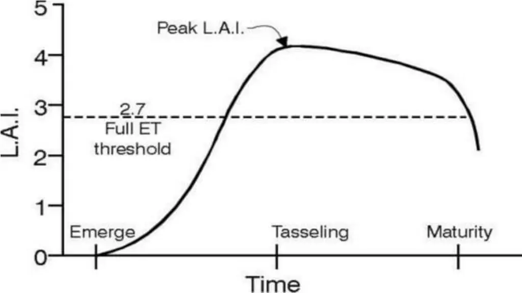 slide33