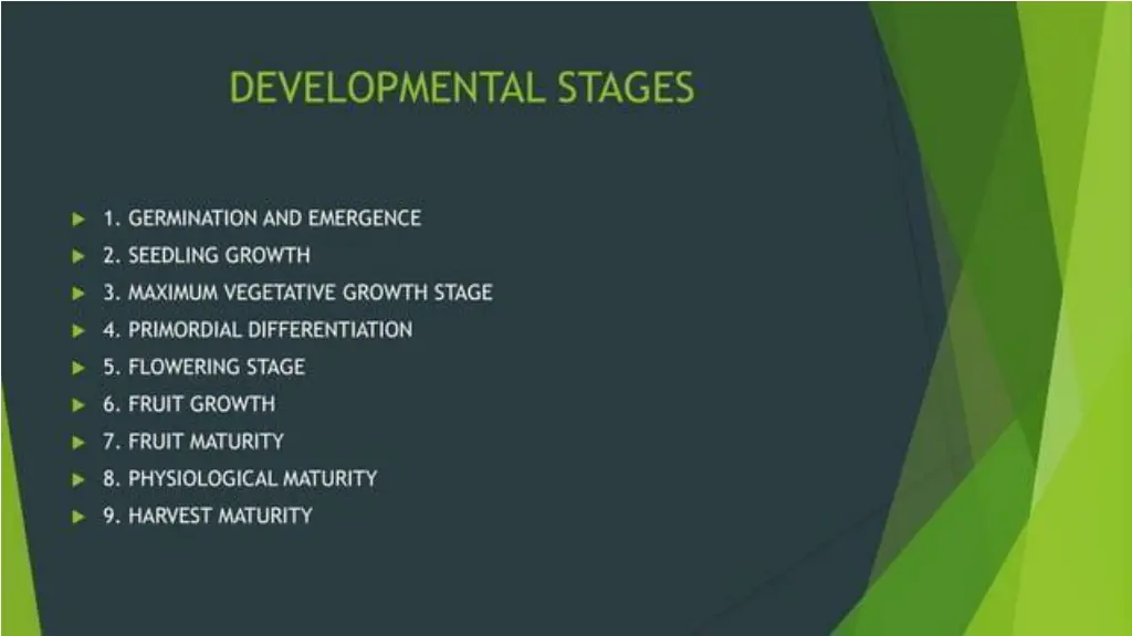 slide39