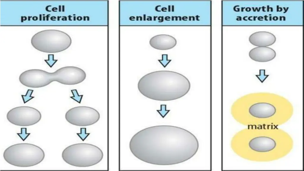 slide6