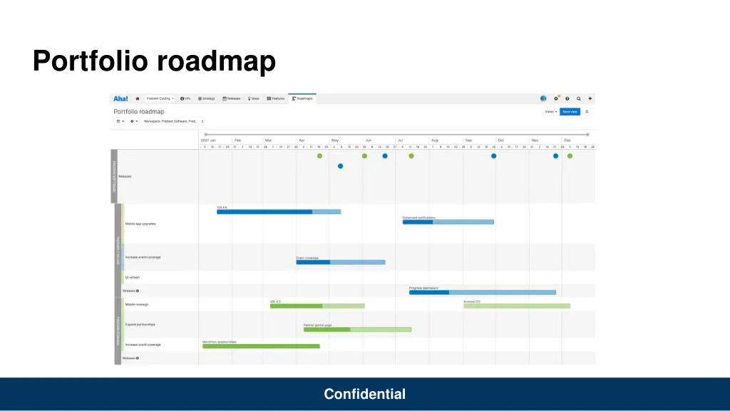 portfolio roadmap