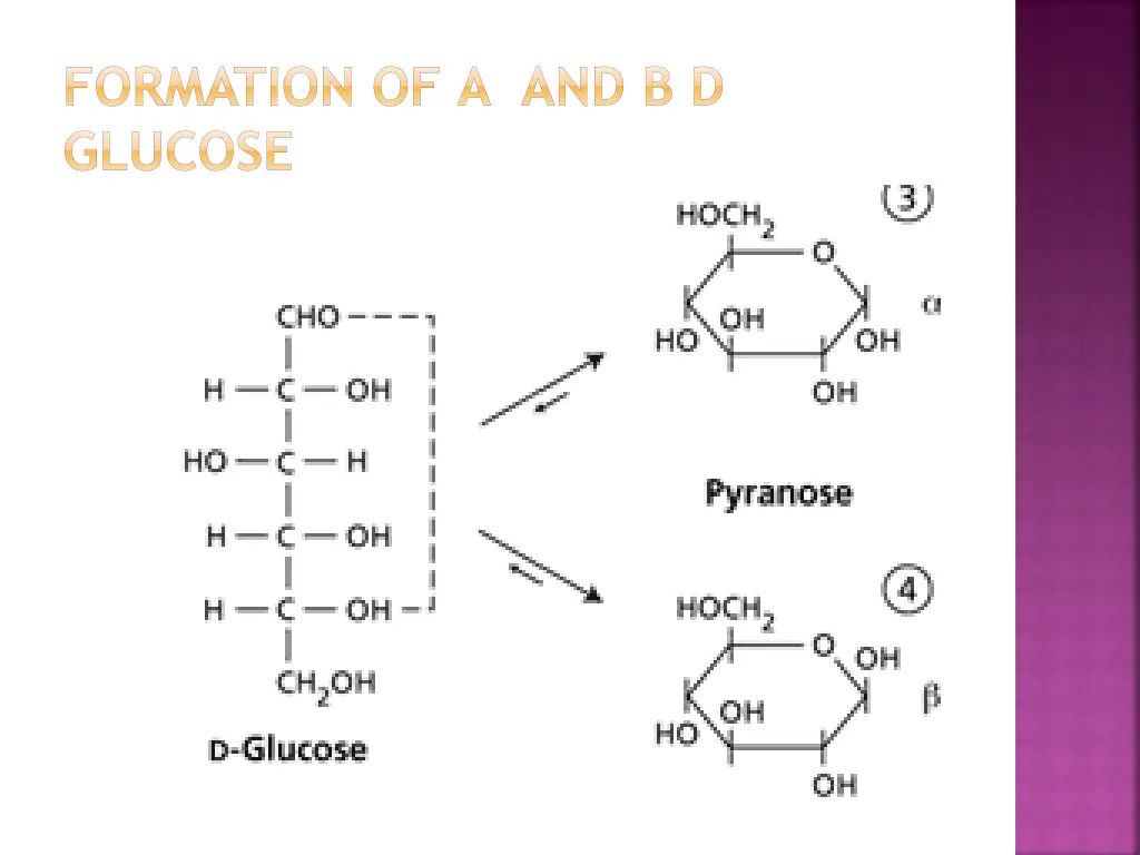 formation of and d glucose