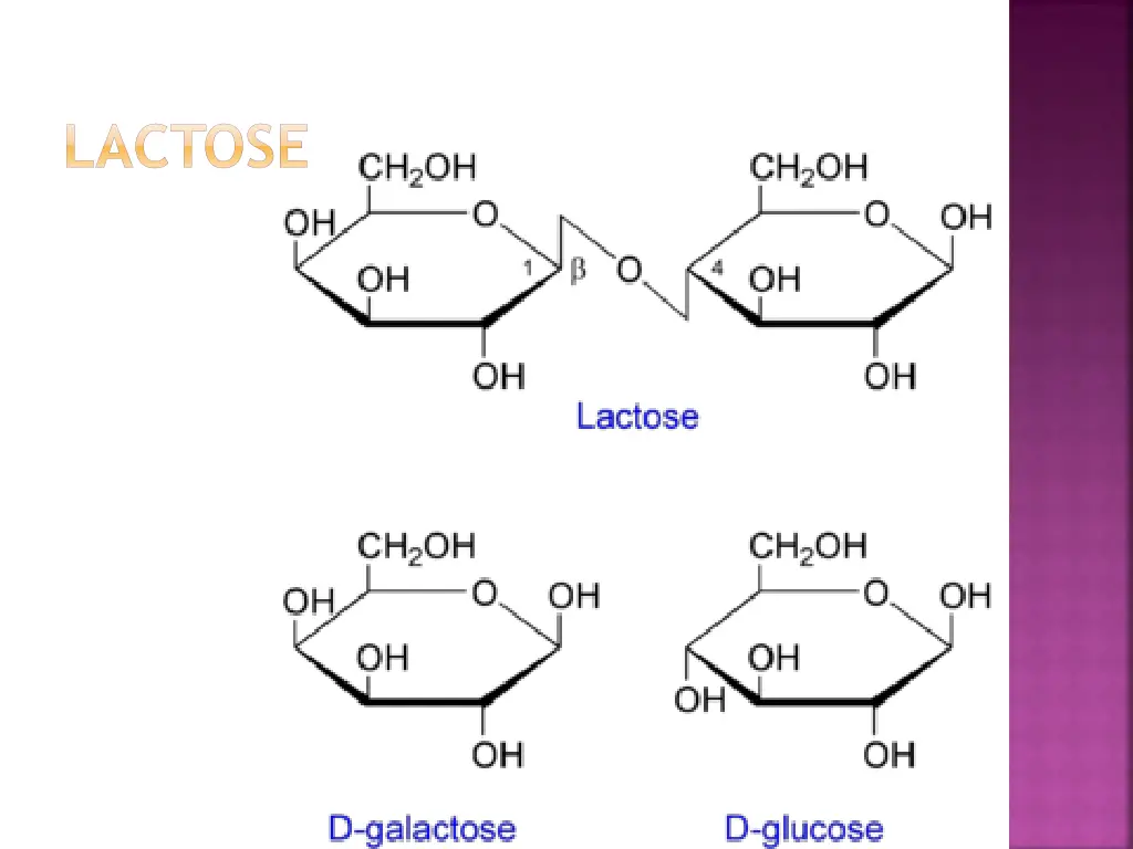 lactose 1