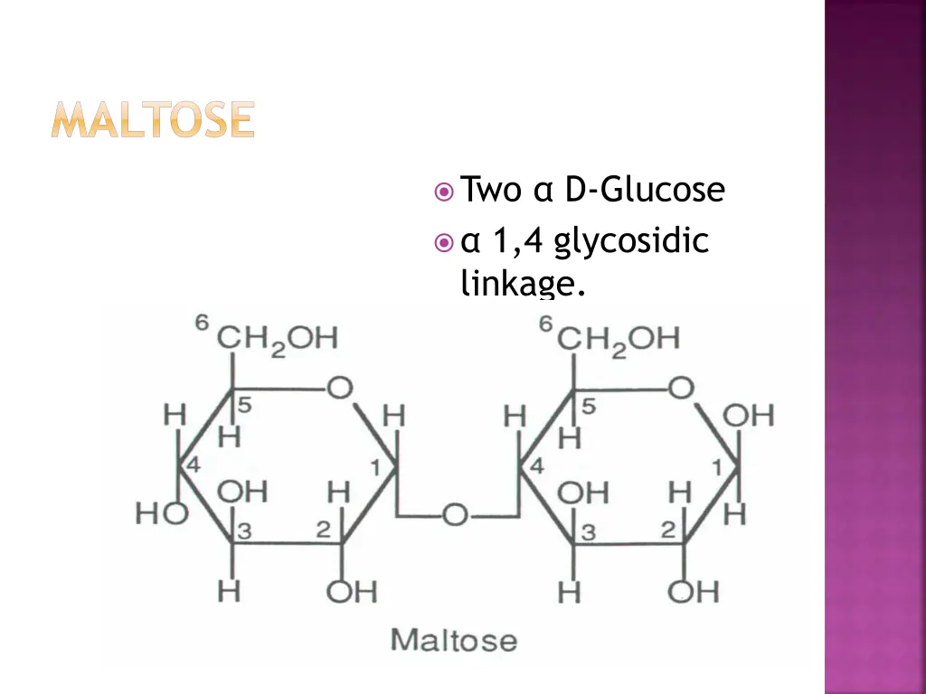 maltose
