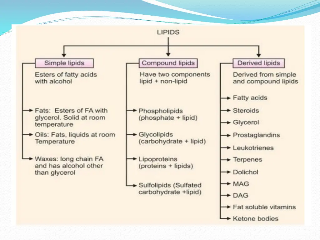 slide6