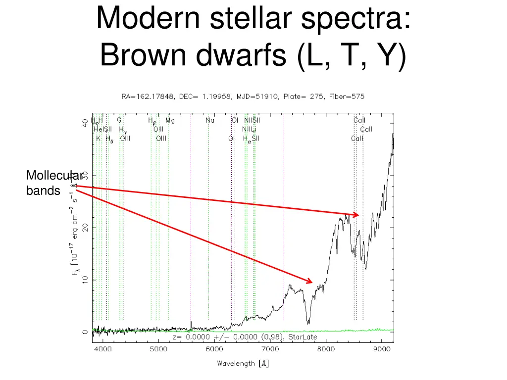 modern stellar spectra brown dwarfs l t y