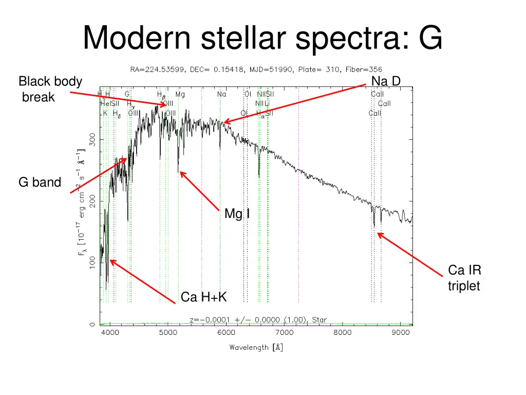 modern stellar spectra g