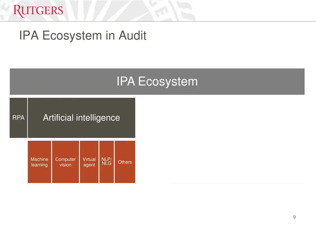ipa ecosystem in audit 1