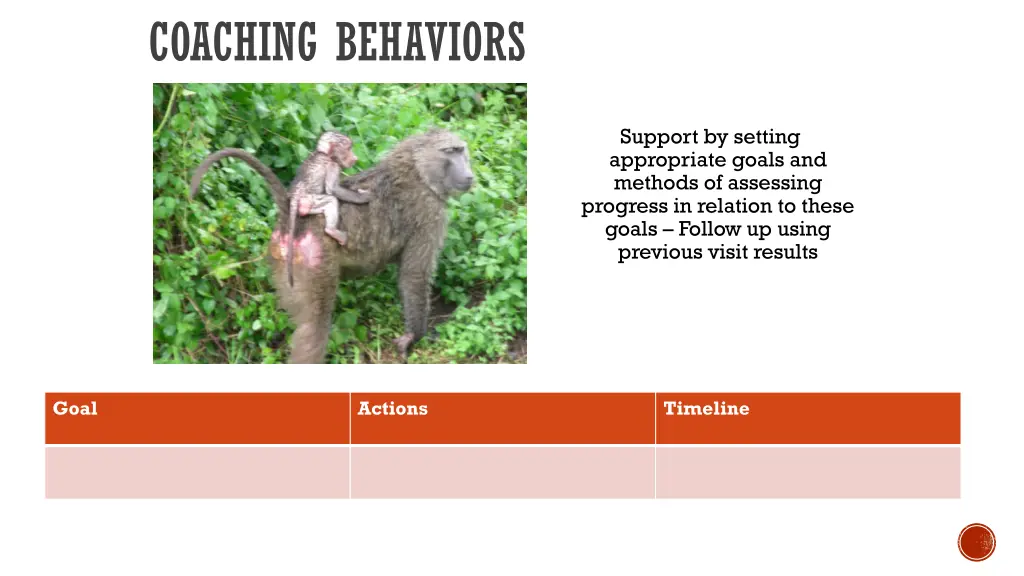 coaching behaviors