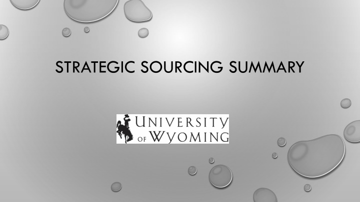strategic sourcing summary
