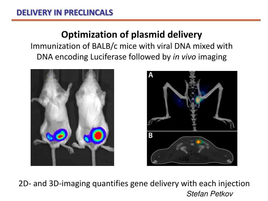 delivery in preclincals