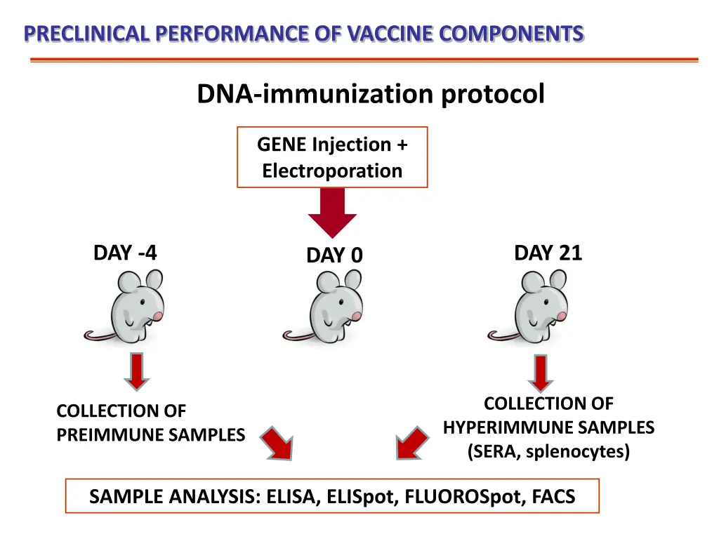 preclinical performance of vaccine components