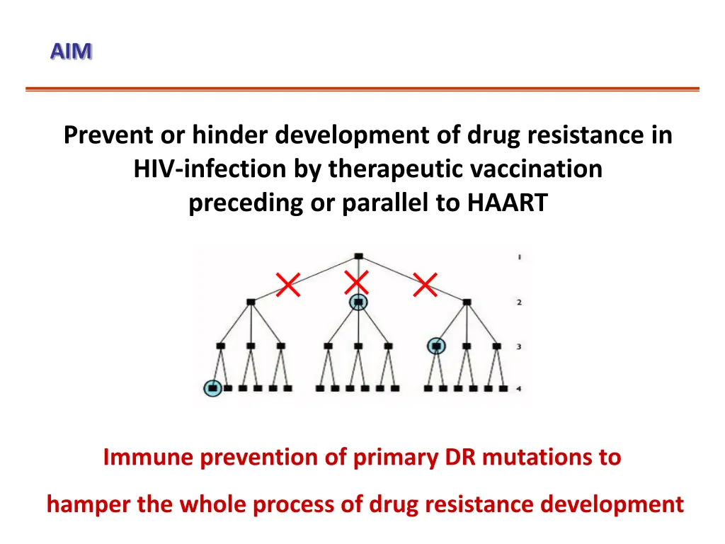 slide3