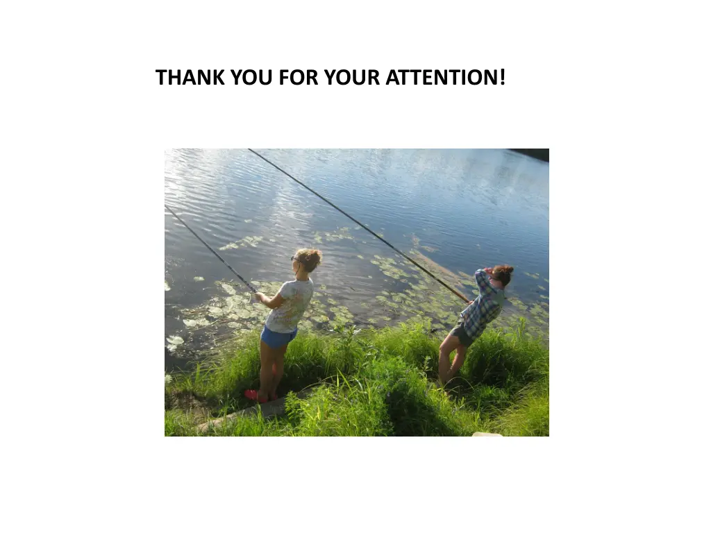 thank you for your attention