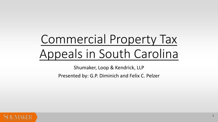 commercial property tax appeals in south carolina