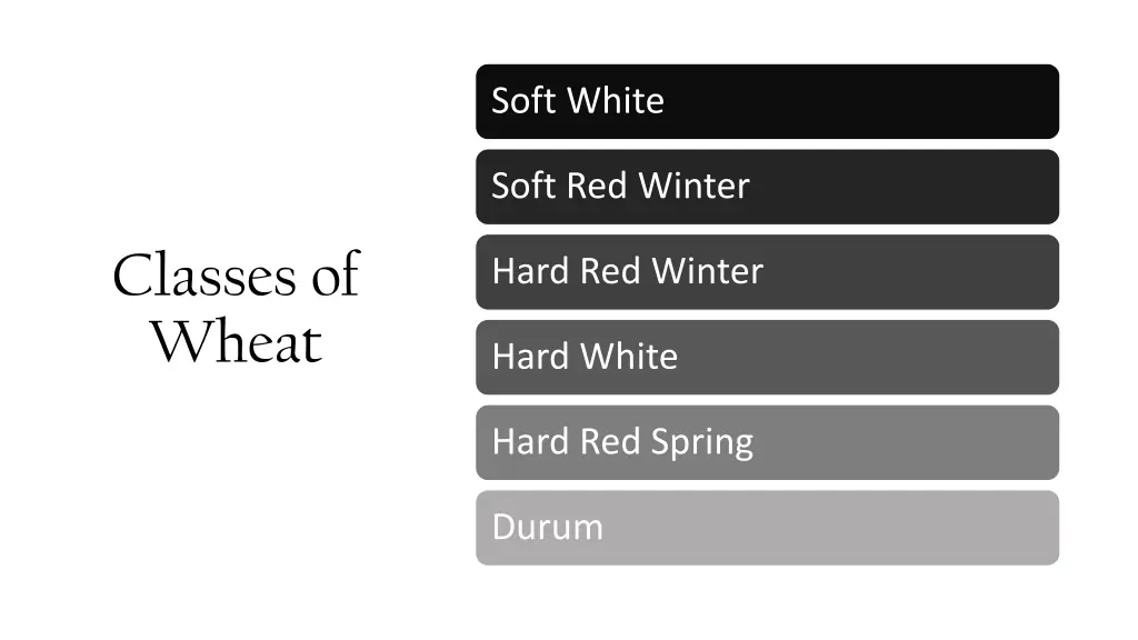 soft white