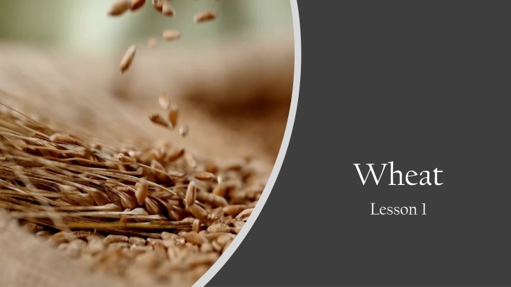 wheat lesson 1