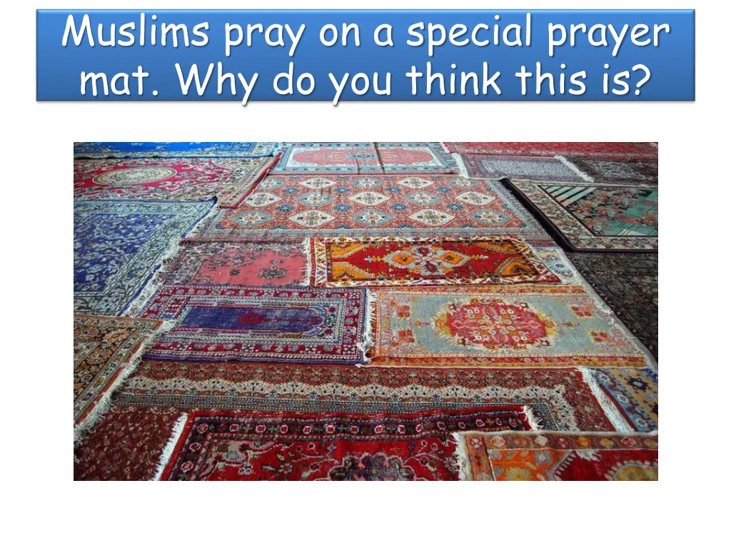 muslims pray on a special prayer