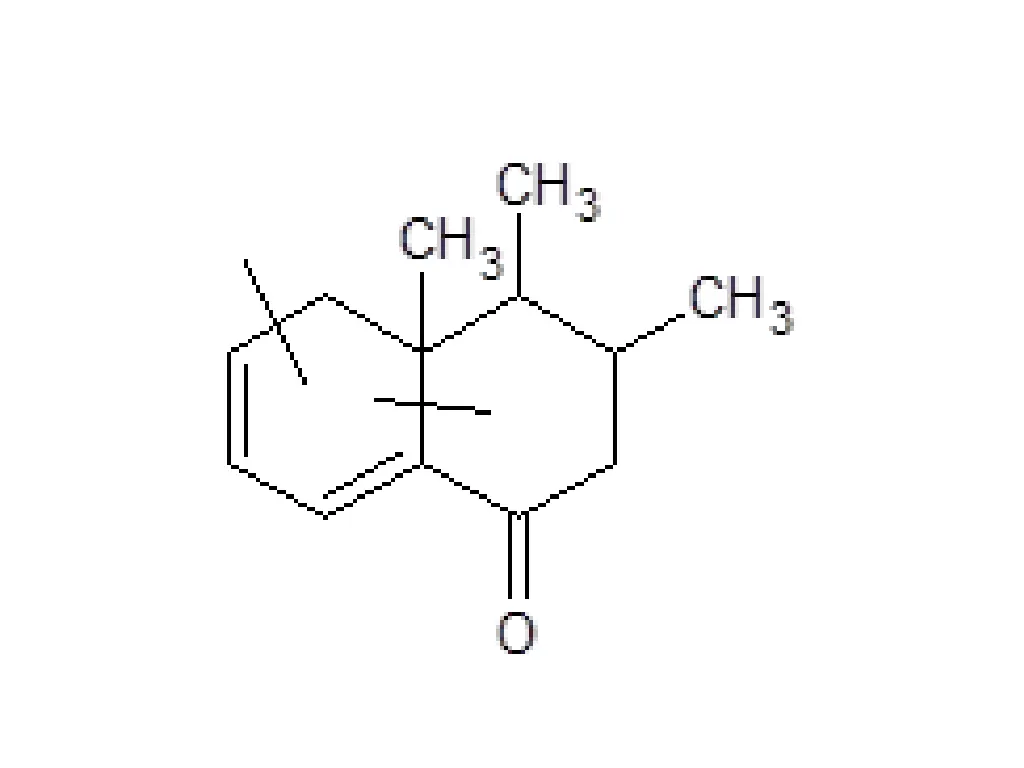 slide31