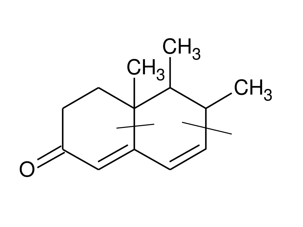 slide33