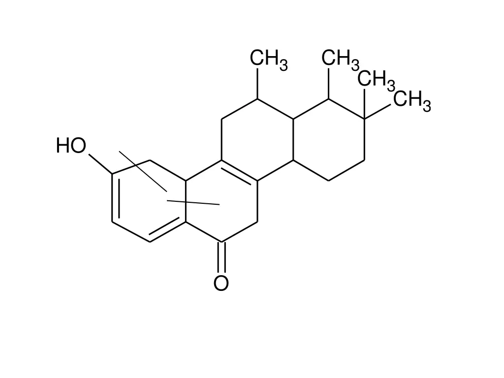 slide35