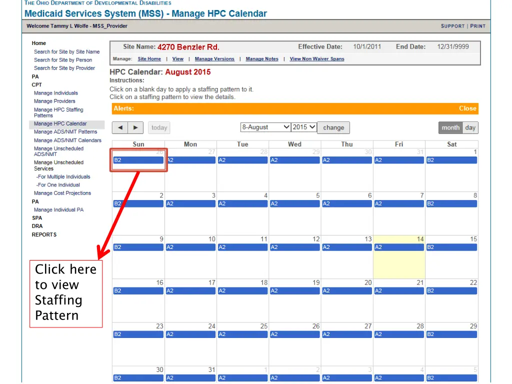 click here to view staffing pattern