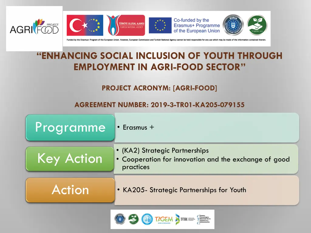 enhancing social inclusion of youth through 1