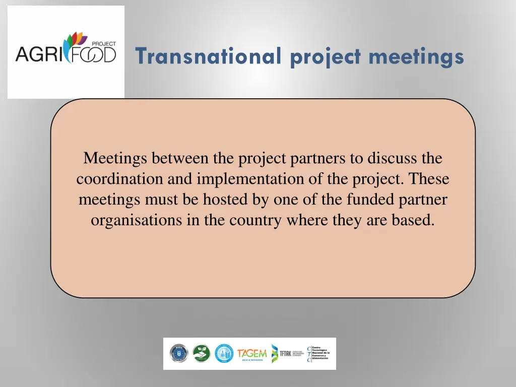 transnational project meetings