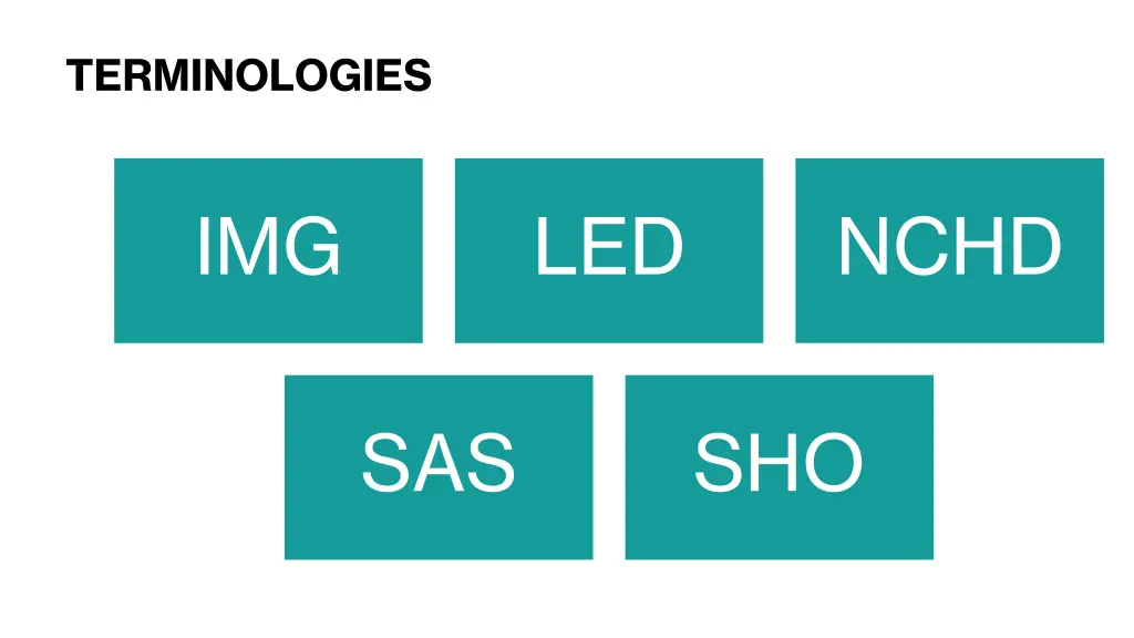 terminologies