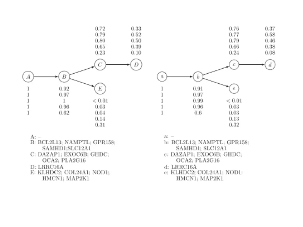 slide13