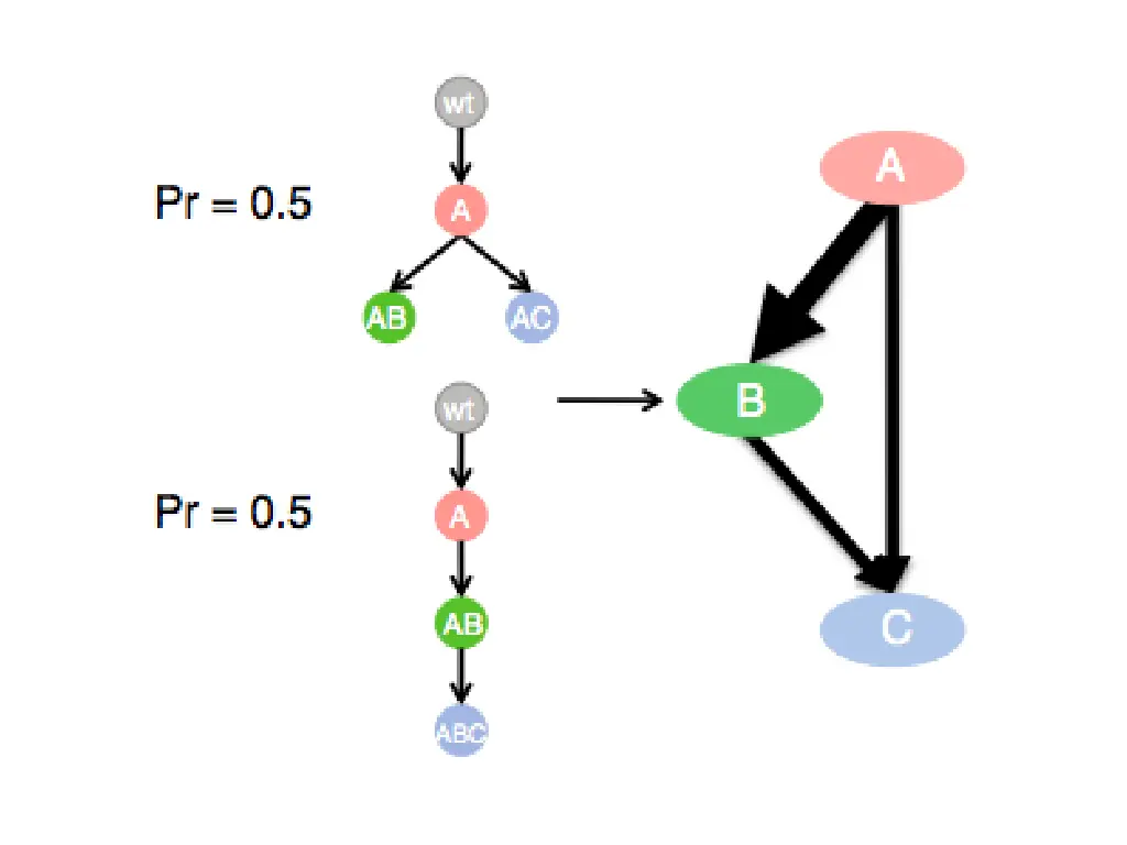 slide7
