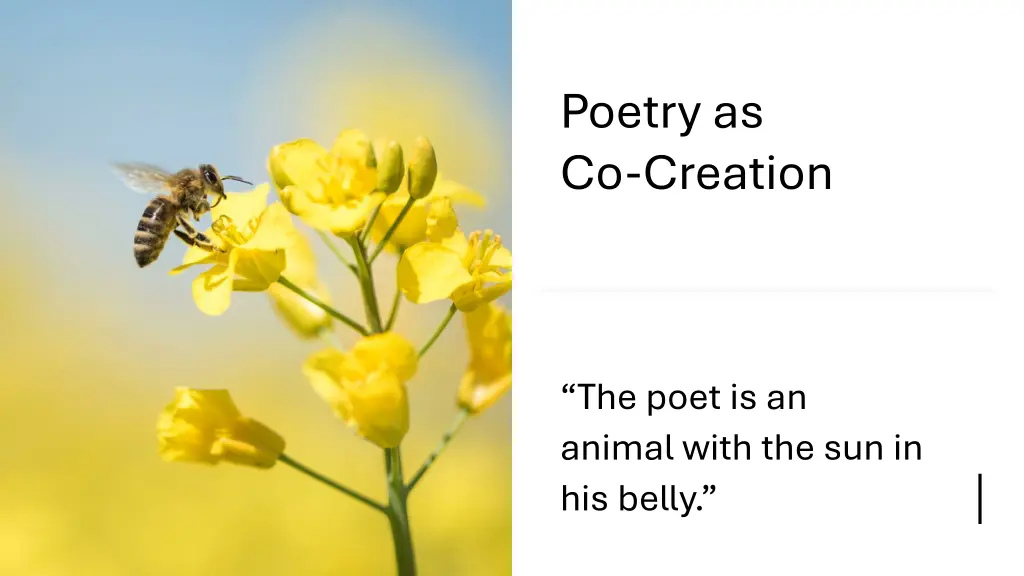 poetry as co creation
