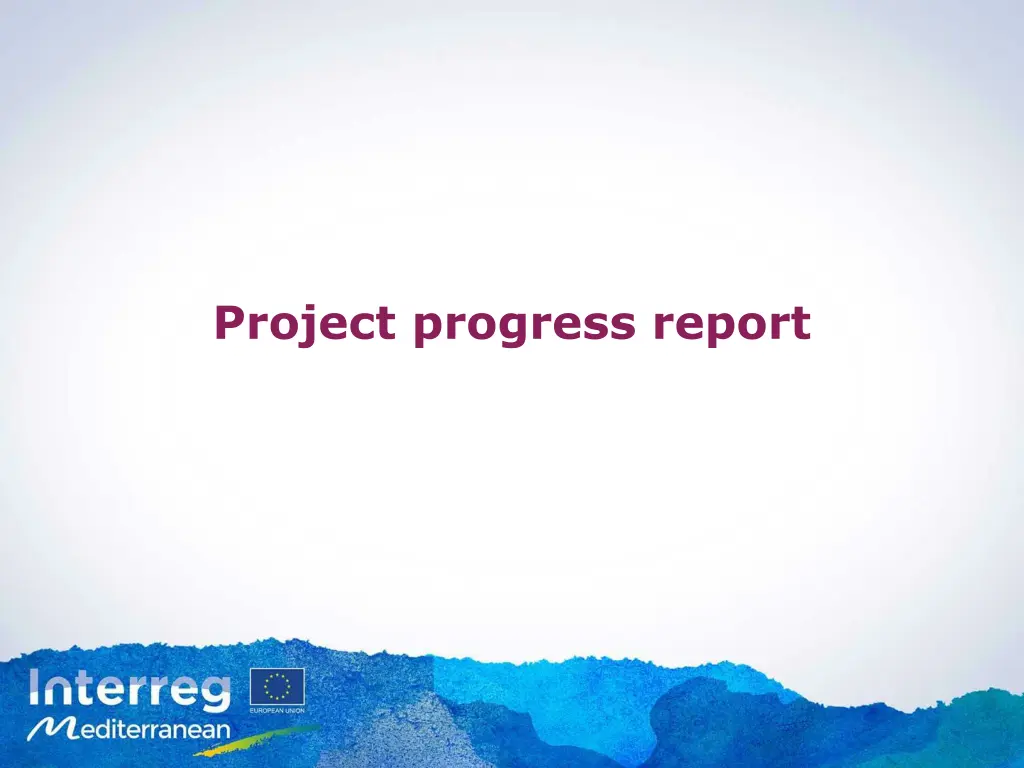 project progress report