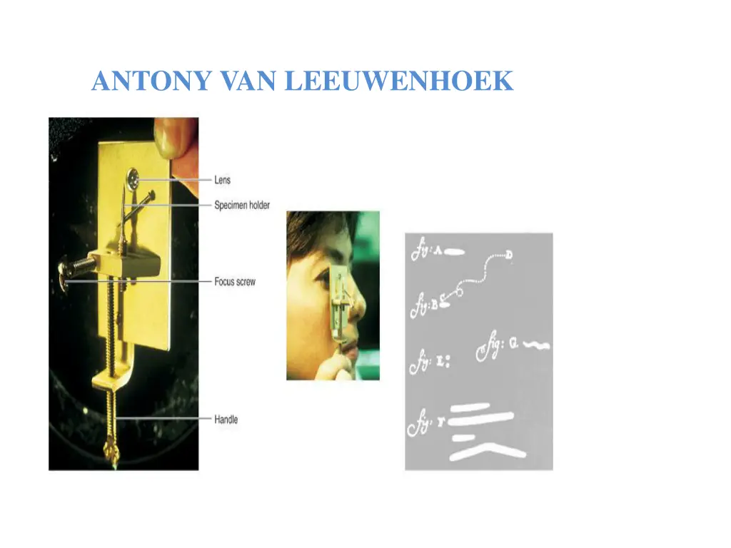 antony van leeuwenhoek 1