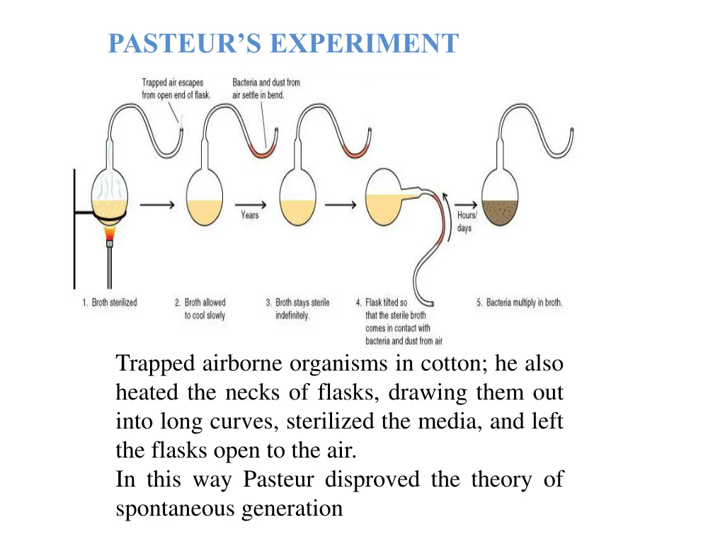 pasteur s experiment