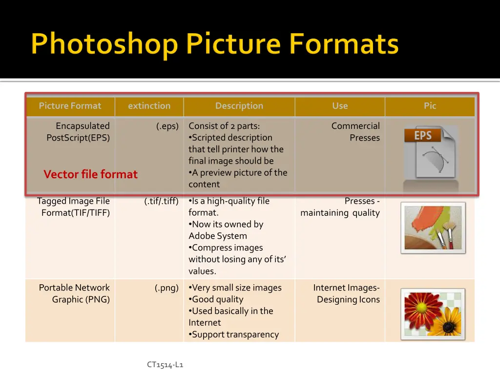 picture format