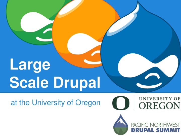 large scale drupal