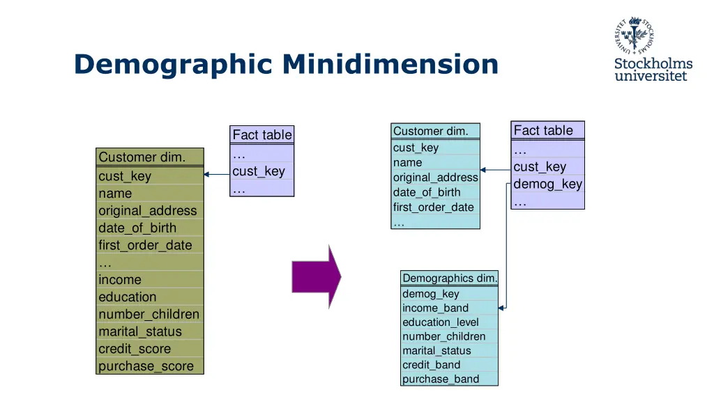 demographic minidimension