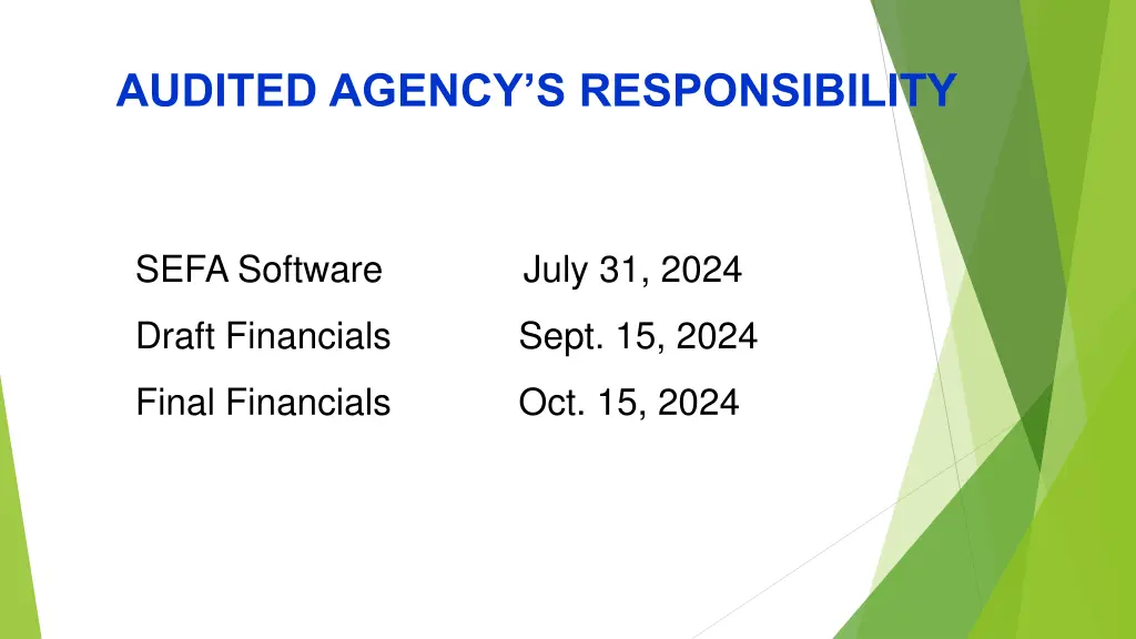 audited agency s responsibility