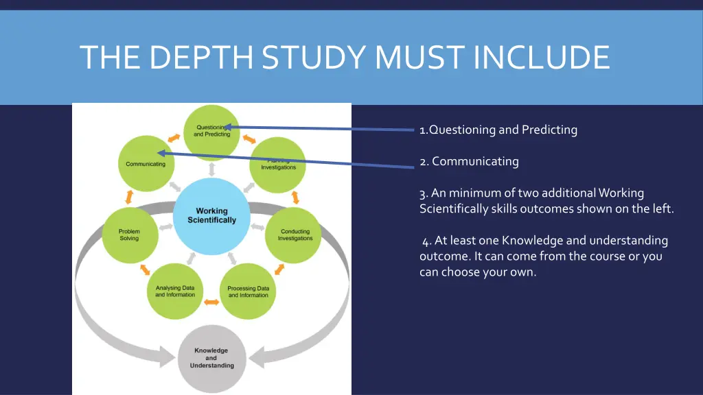 the depth study must include