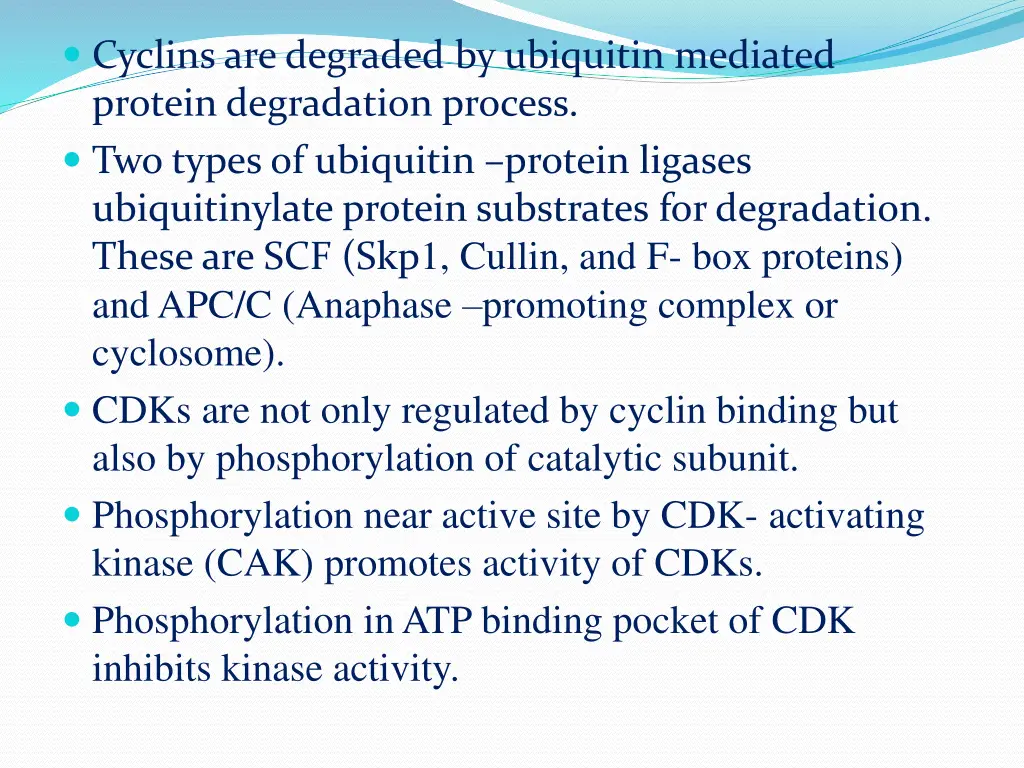 cyclins are degraded by ubiquitin mediated