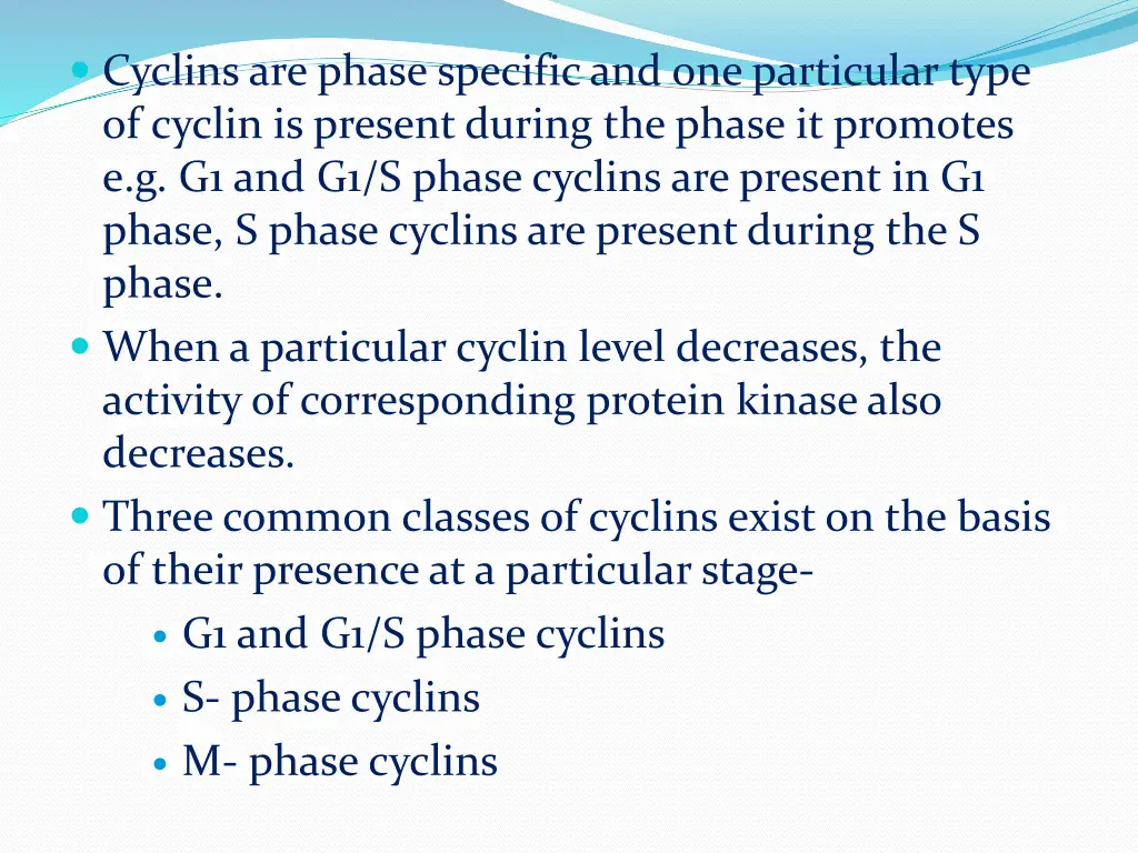 cyclins are phase specific and one particular