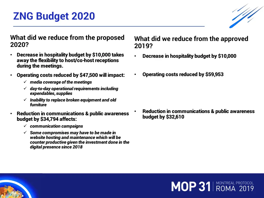 zng budget 2020