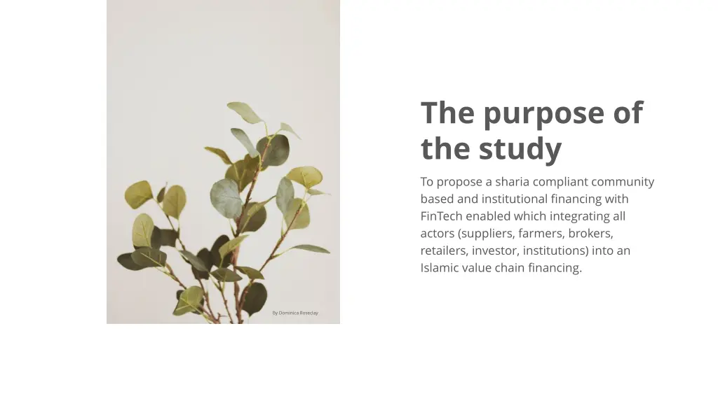 the purpose of the study to propose a sharia