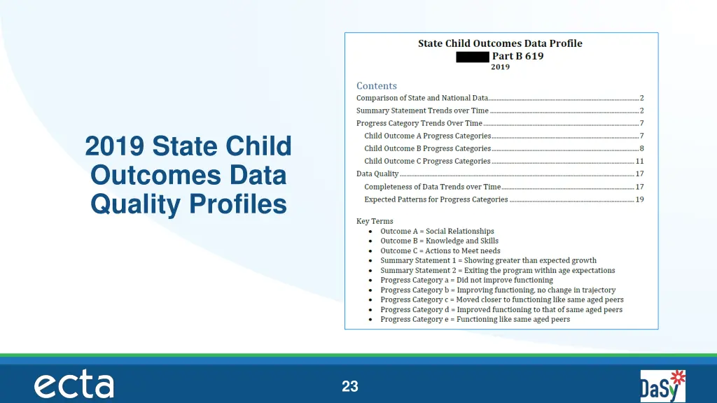 2019 state child outcomes data quality profiles