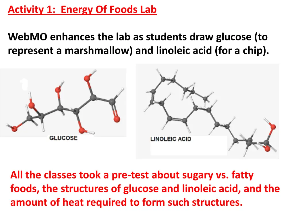 activity 1 energy of foods lab